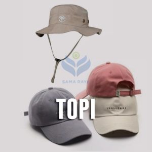 Topi
